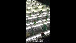 Différents styles de treillis en verre laminé disponibles